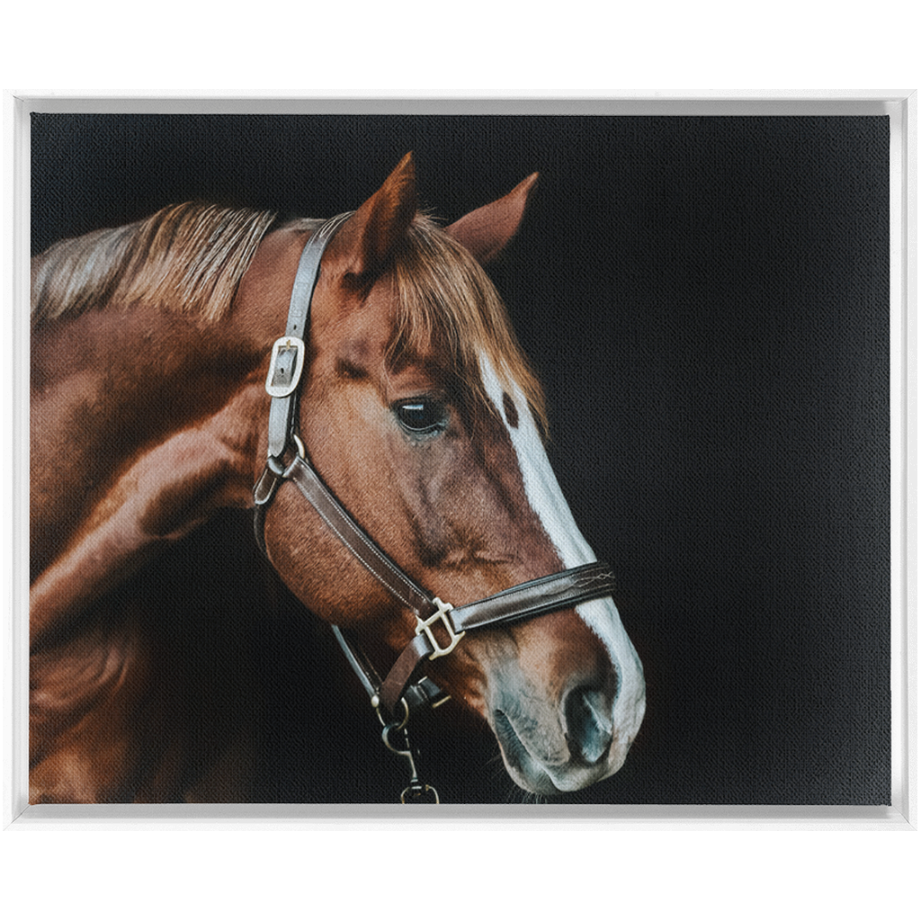 Django Series 5, Framed Canvas