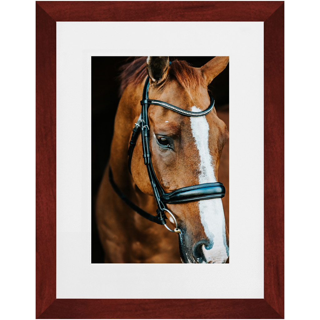 Hudson Series 3, Framed Print