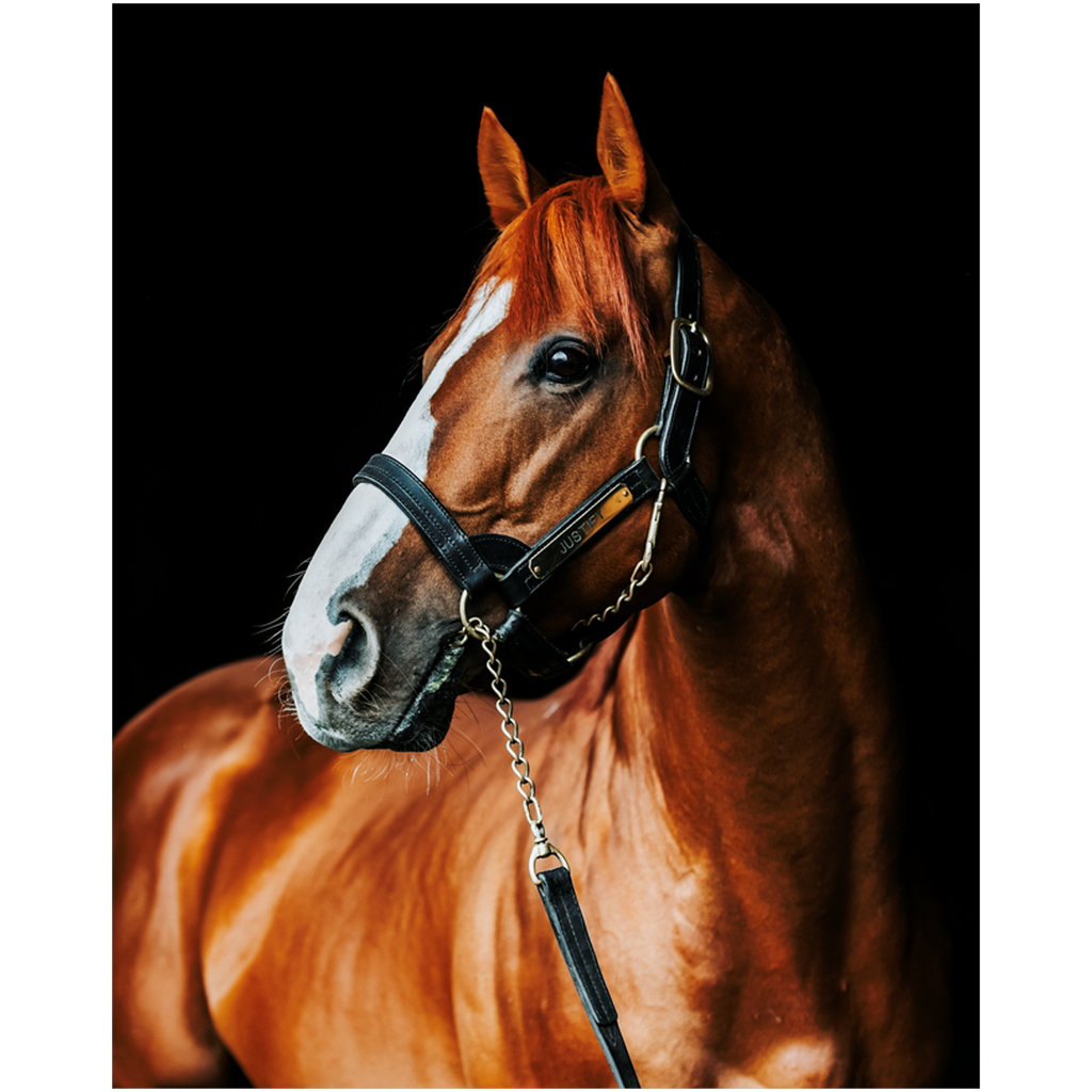 Justify Series 1, Print