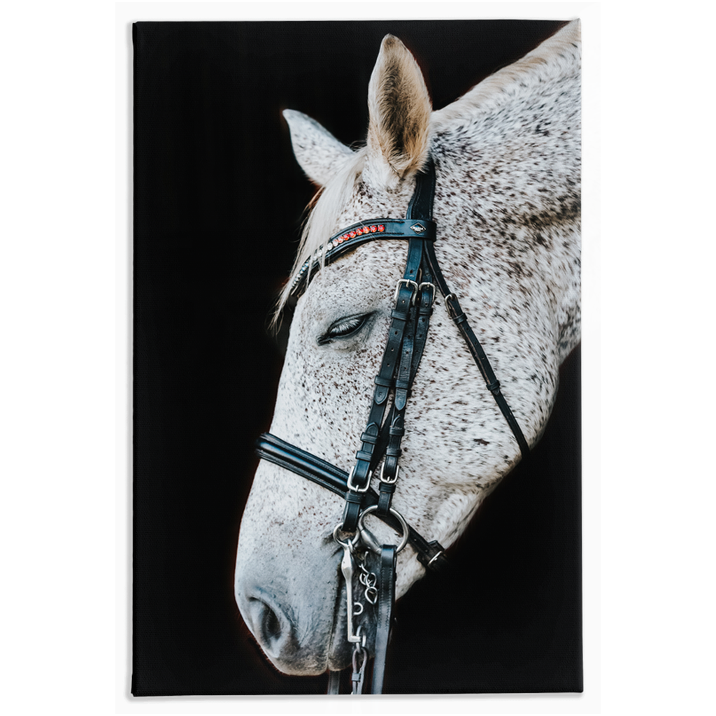Apollo Series 1, Stretched Canvas