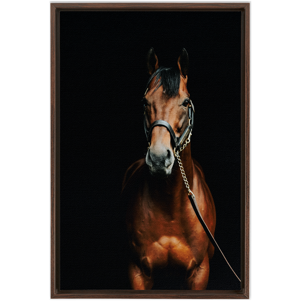 American Pharoah Series 4, Framed Canvas