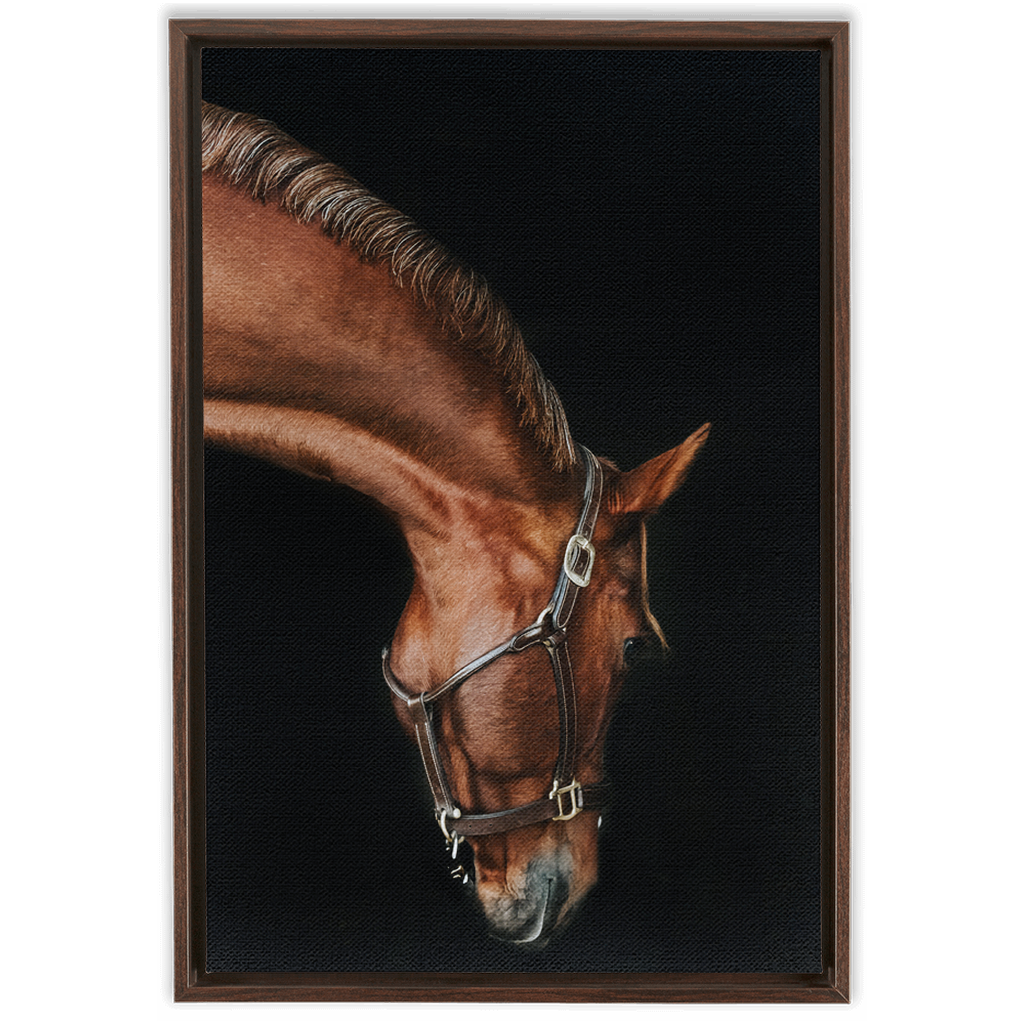 Django Series 6, Framed Canvas