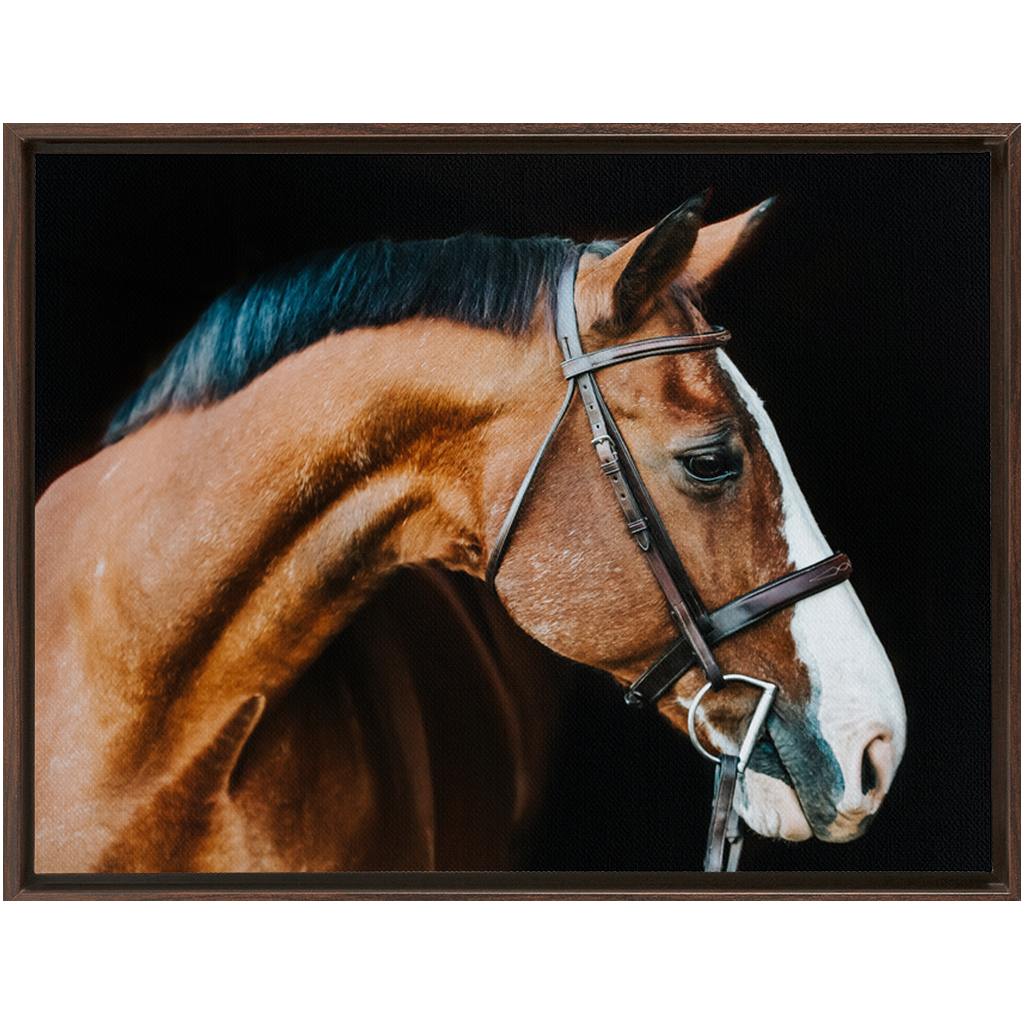 Huntsman Series 3, Framed Canvas