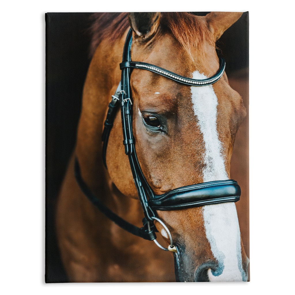 Hudson Series 3, Stretched Canvas