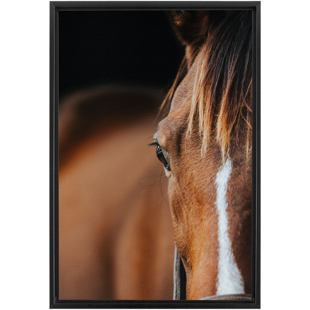 Majestic 1, Framed Canvas