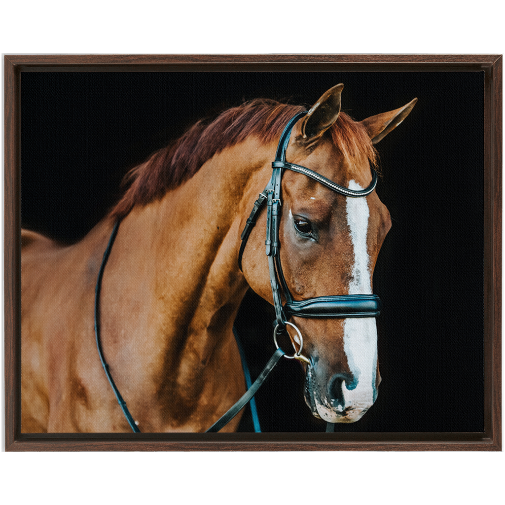 Hudson Series 1, Framed Canvas