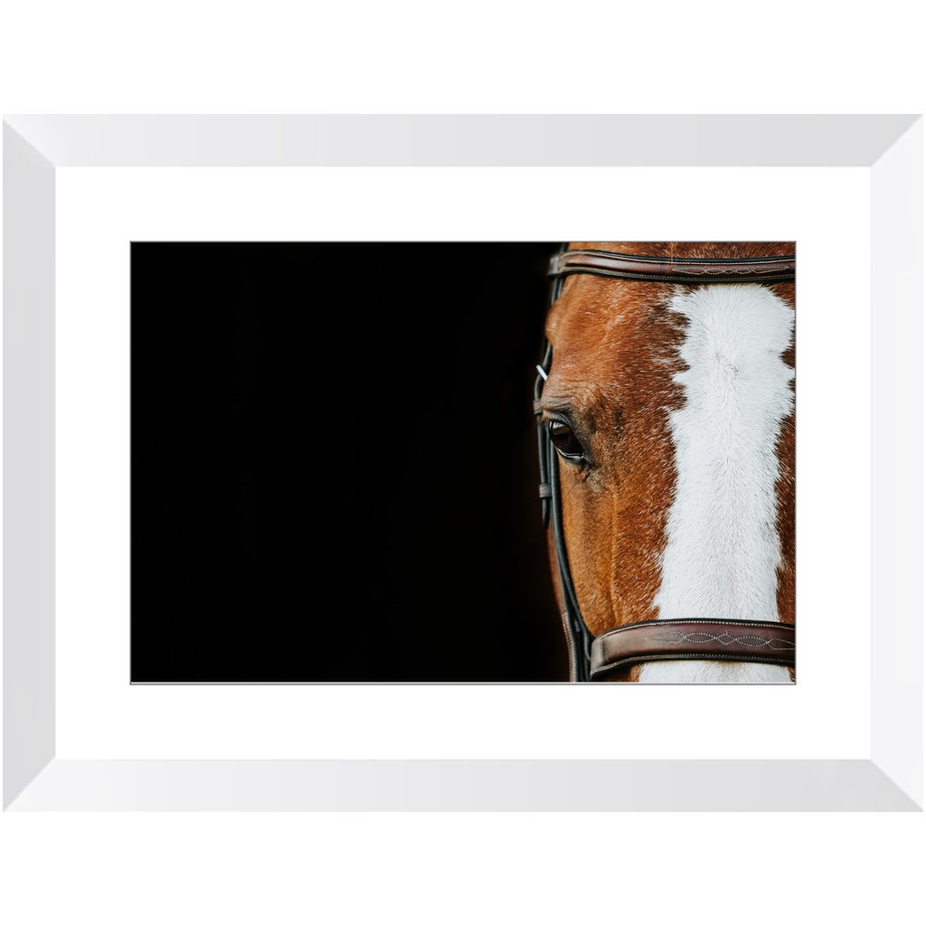 Huntsman Series 5, Framed Print