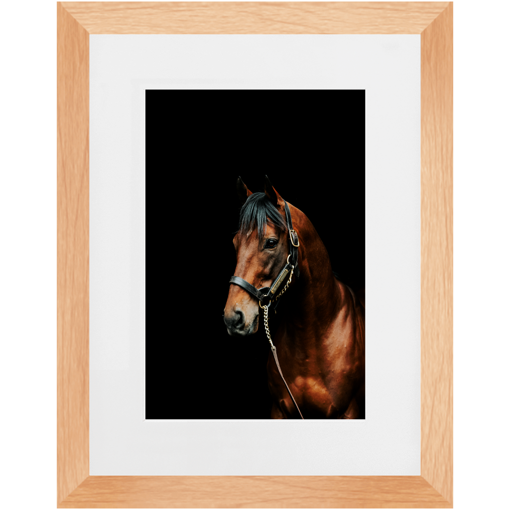 American Pharoah Series 2, Framed Prints