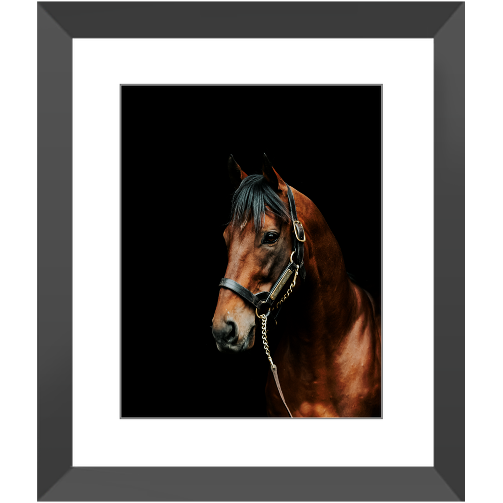 American Pharoah Series 2, Framed Prints