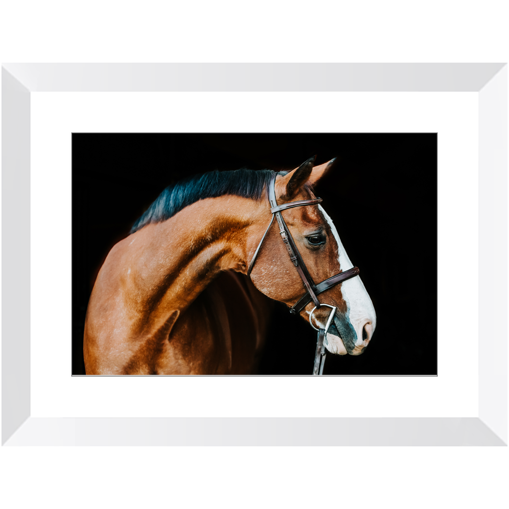 Huntsman Series 3, Framed Print