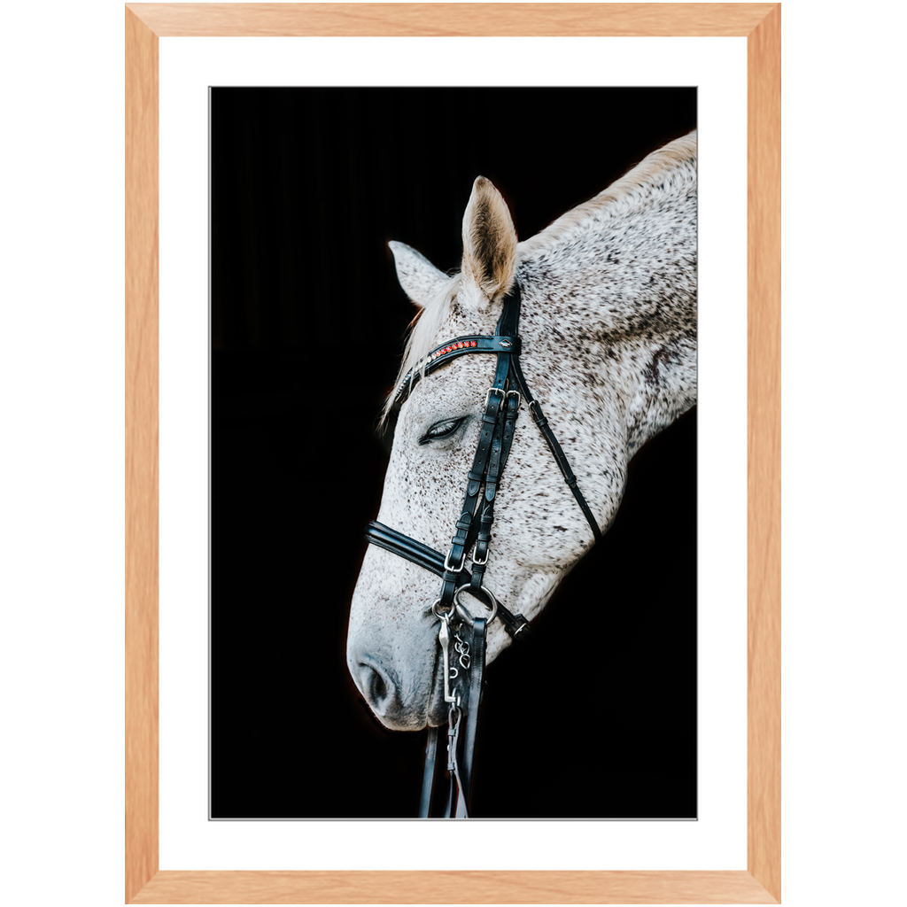 Apollo Series 1, Framed Print
