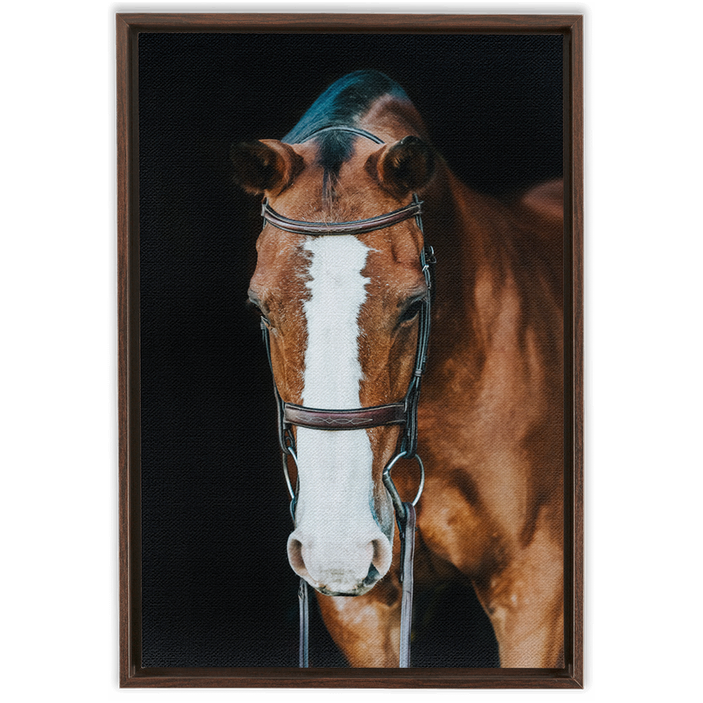 Huntsman Series 6, Framed Canvas