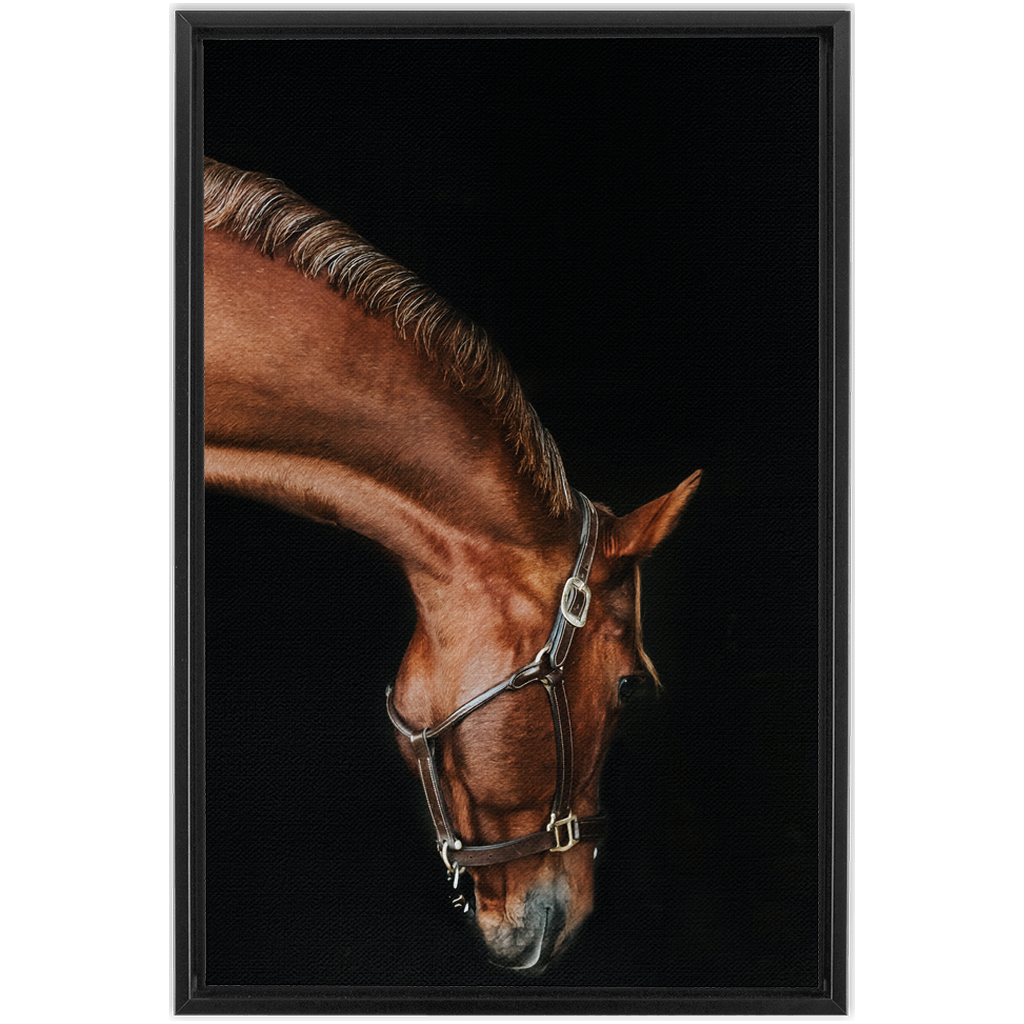 Django Series 6, Framed Canvas