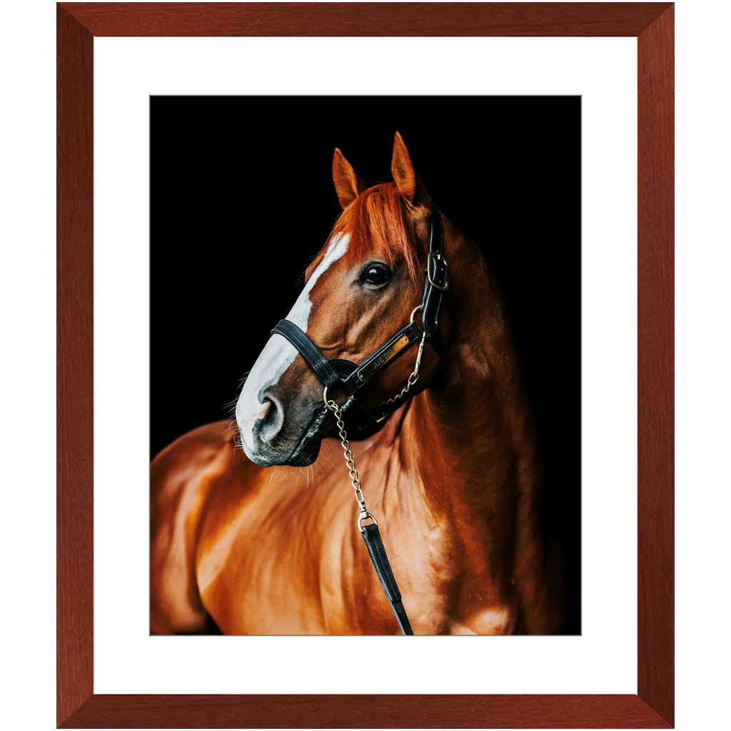 Justify Series 1, Framed Print