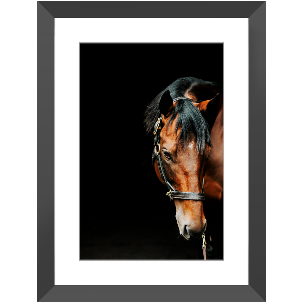 American Pharoah Series 6, Framed Print