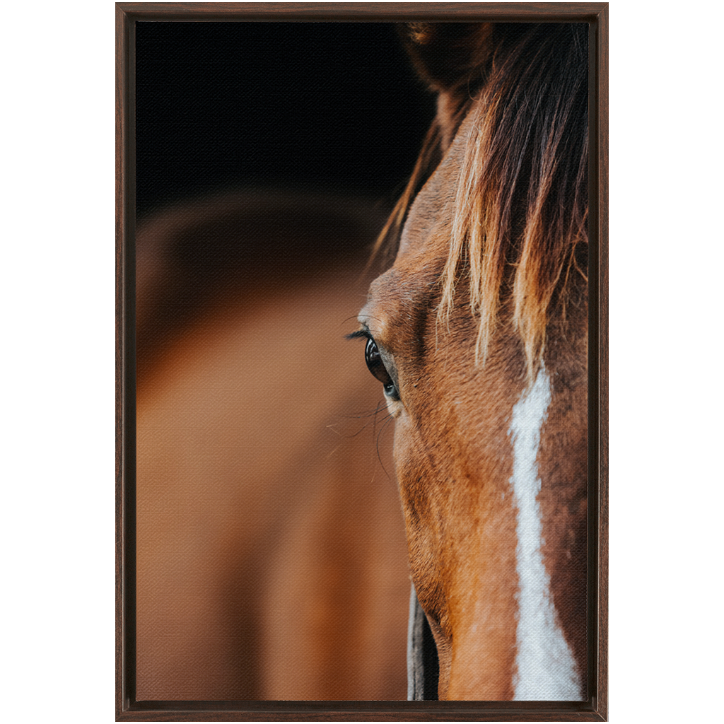 Majestic 1, Framed Canvas