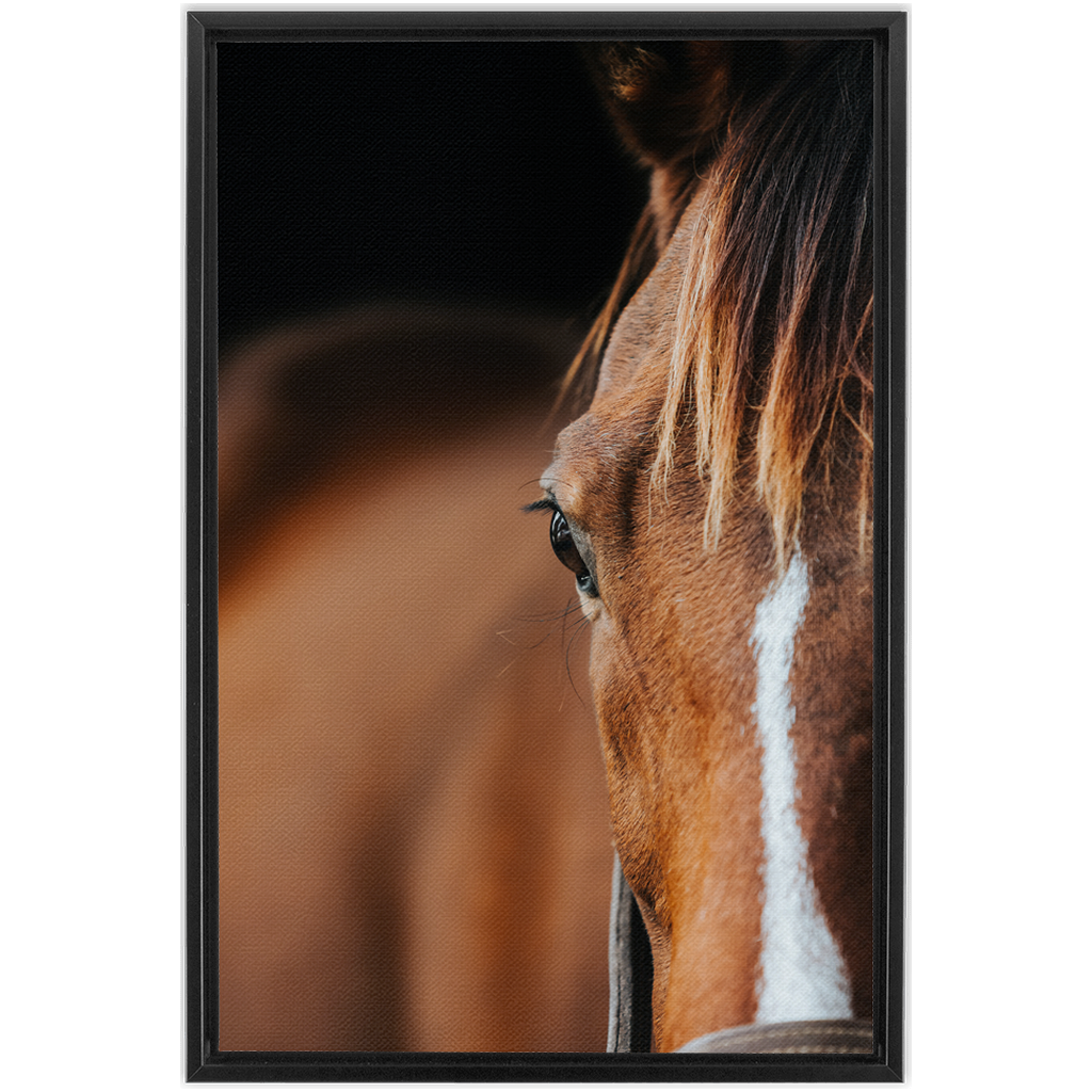 Majestic 1, Framed Canvas