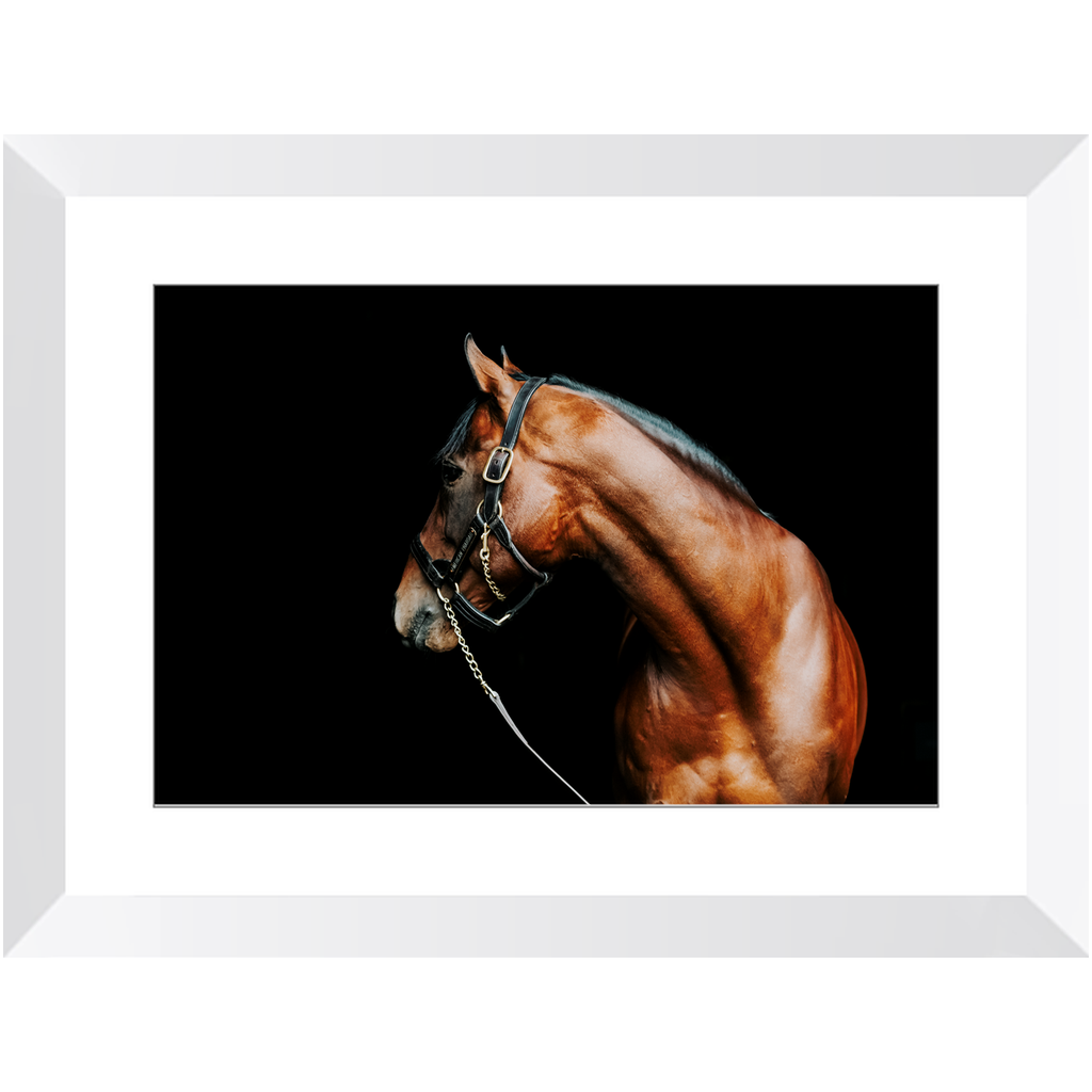 American Pharoah Series 5, Framed Print
