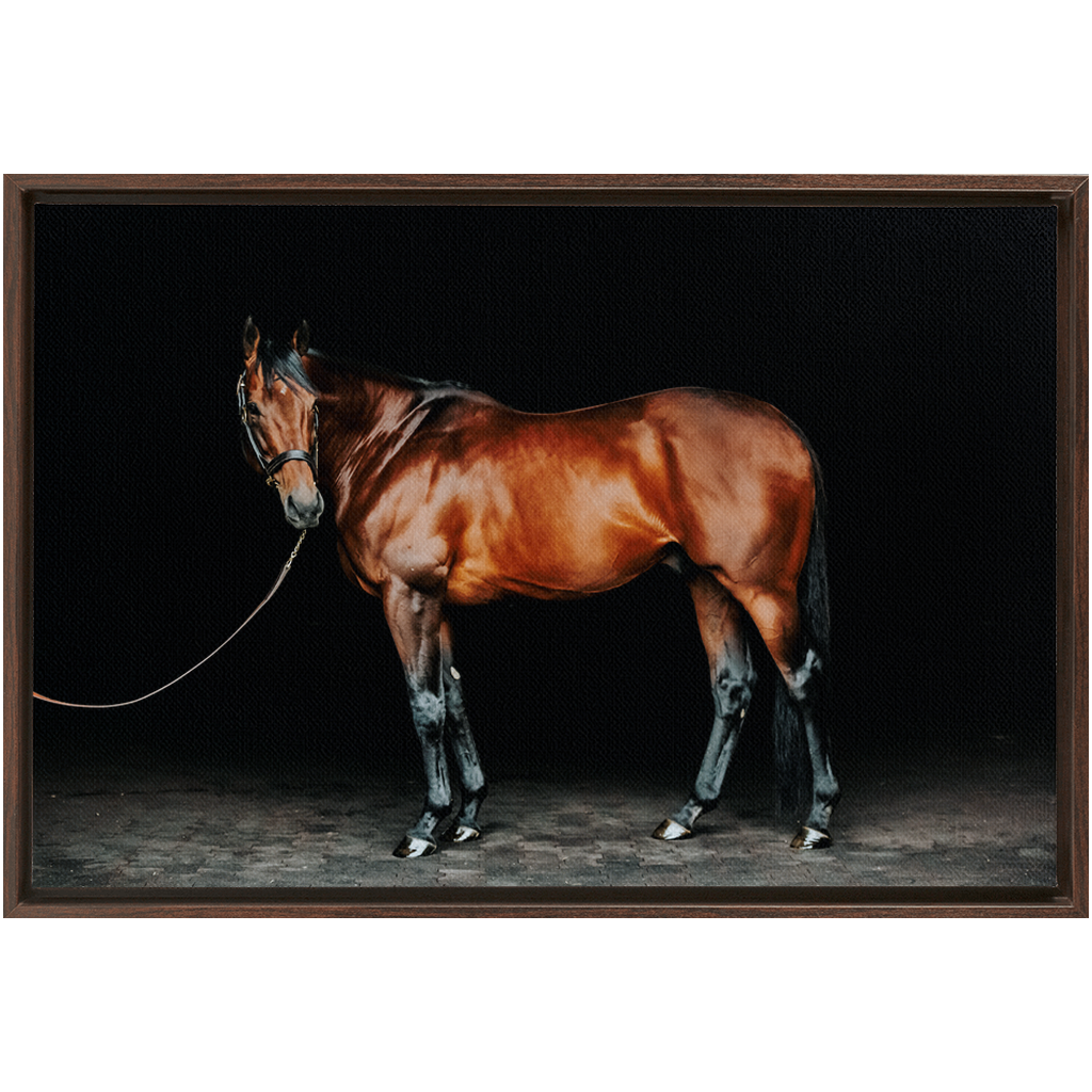 American Pharoah Series 1, Framed Canvas