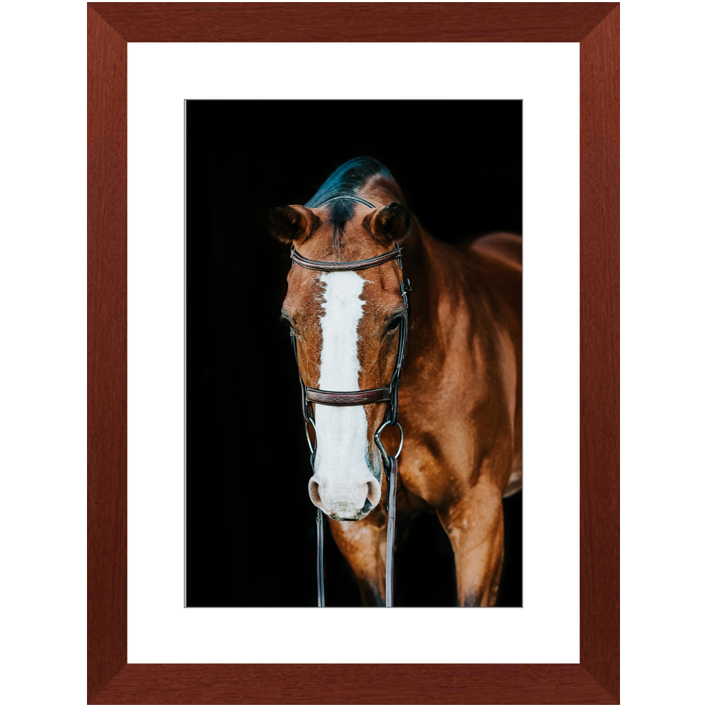 Huntsman Series 6, Framed Print