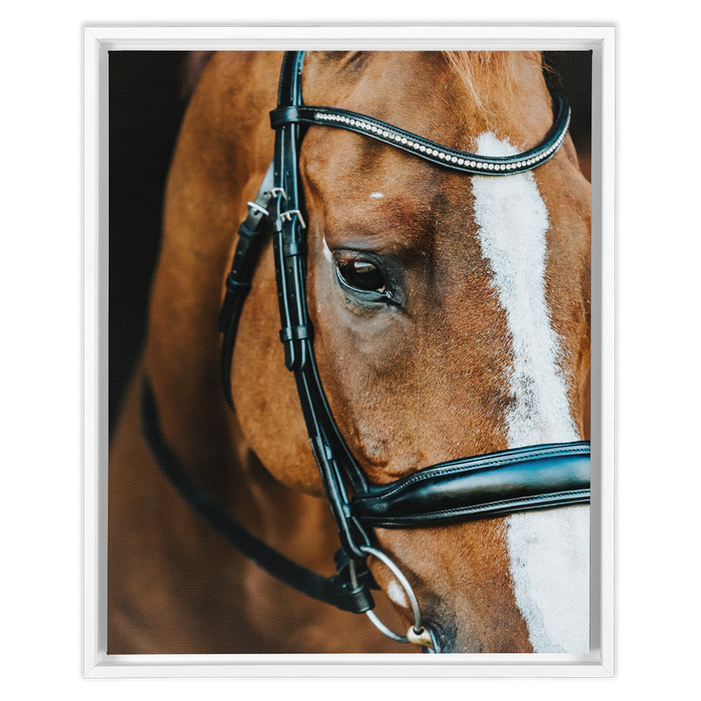 Hudson Series 3, Framed Canvas