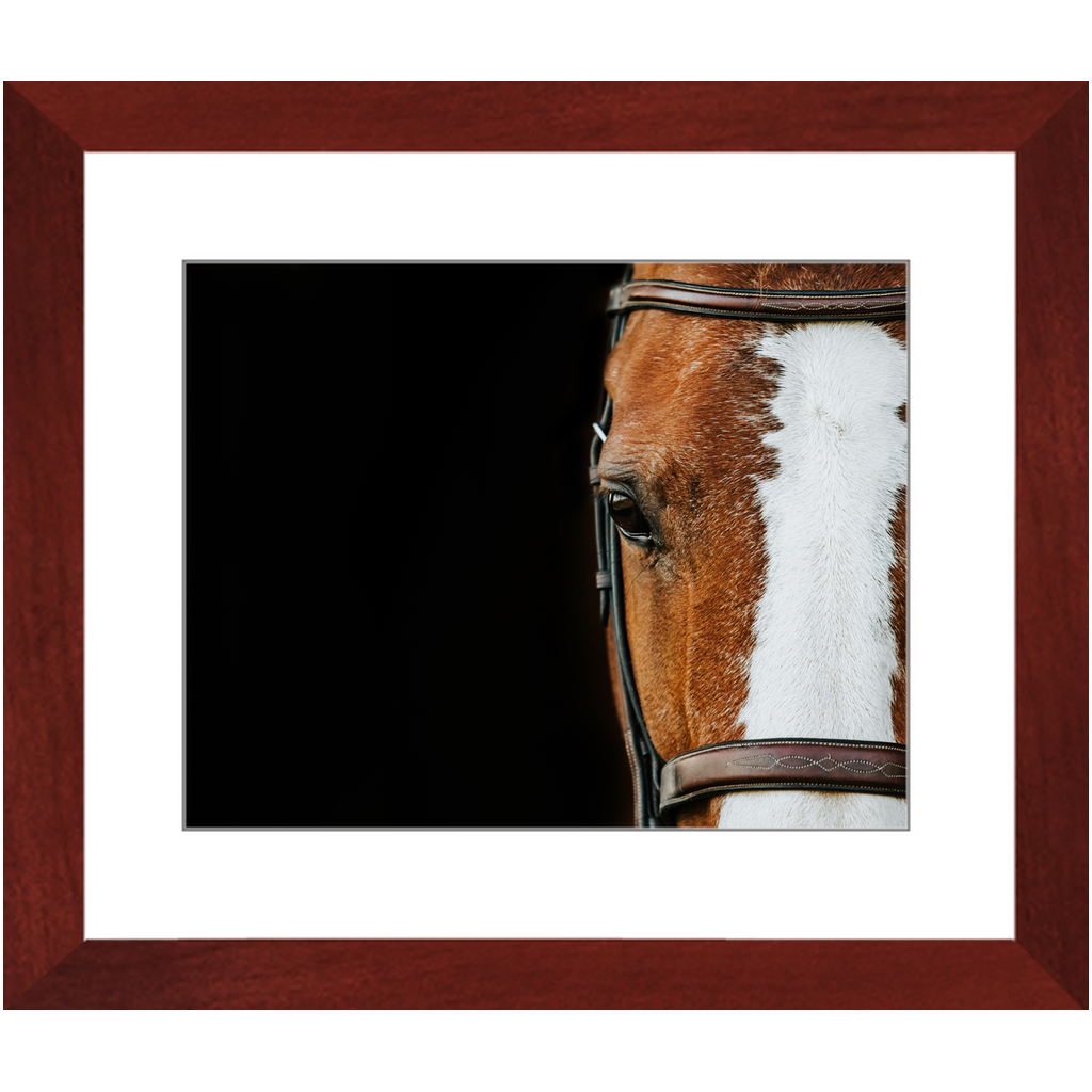 Huntsman Series 5, Framed Print