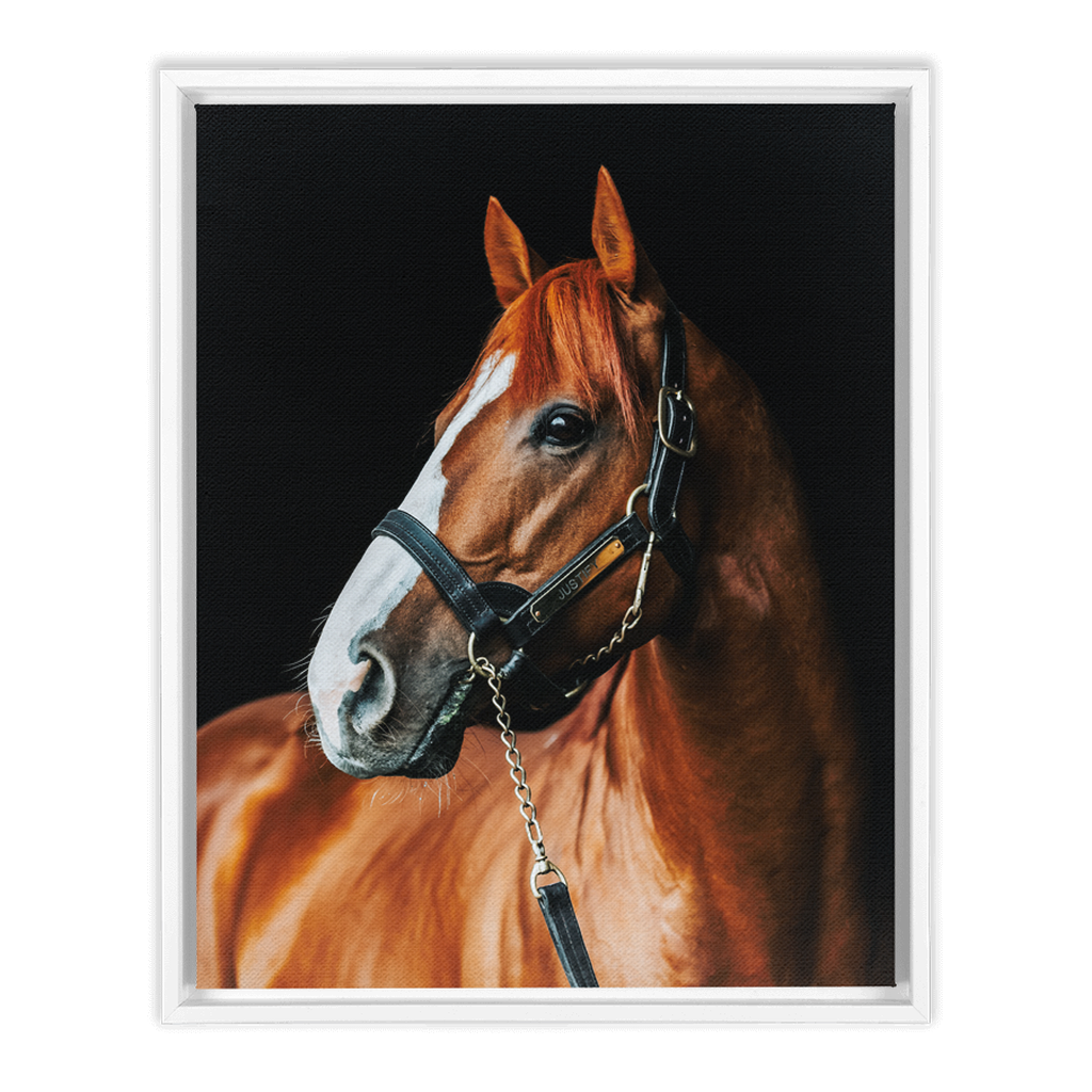 Justify Series 1, Framed Canvas
