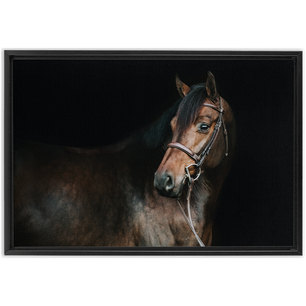 Jovial Series 2, Framed Canvas