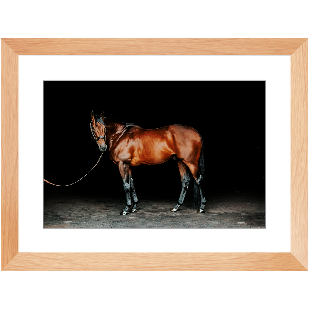 American Pharoah Series 1, Framed Print