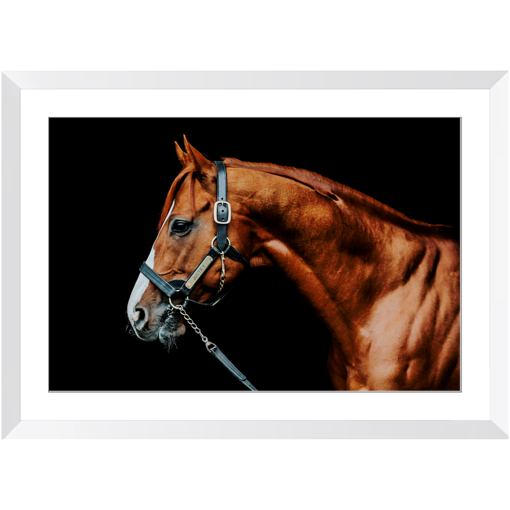 Justify Series 3, Framed Print