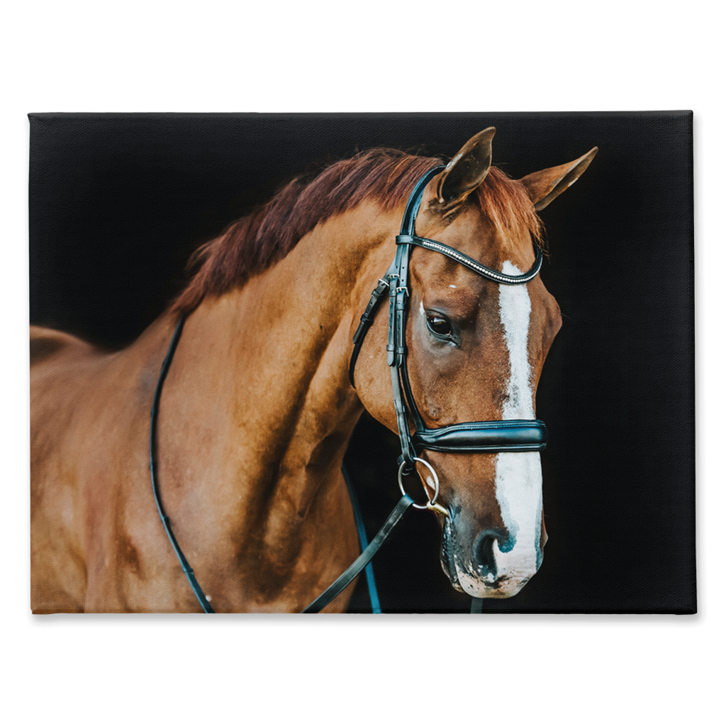 Hudson Series 1, Stretched Canvas