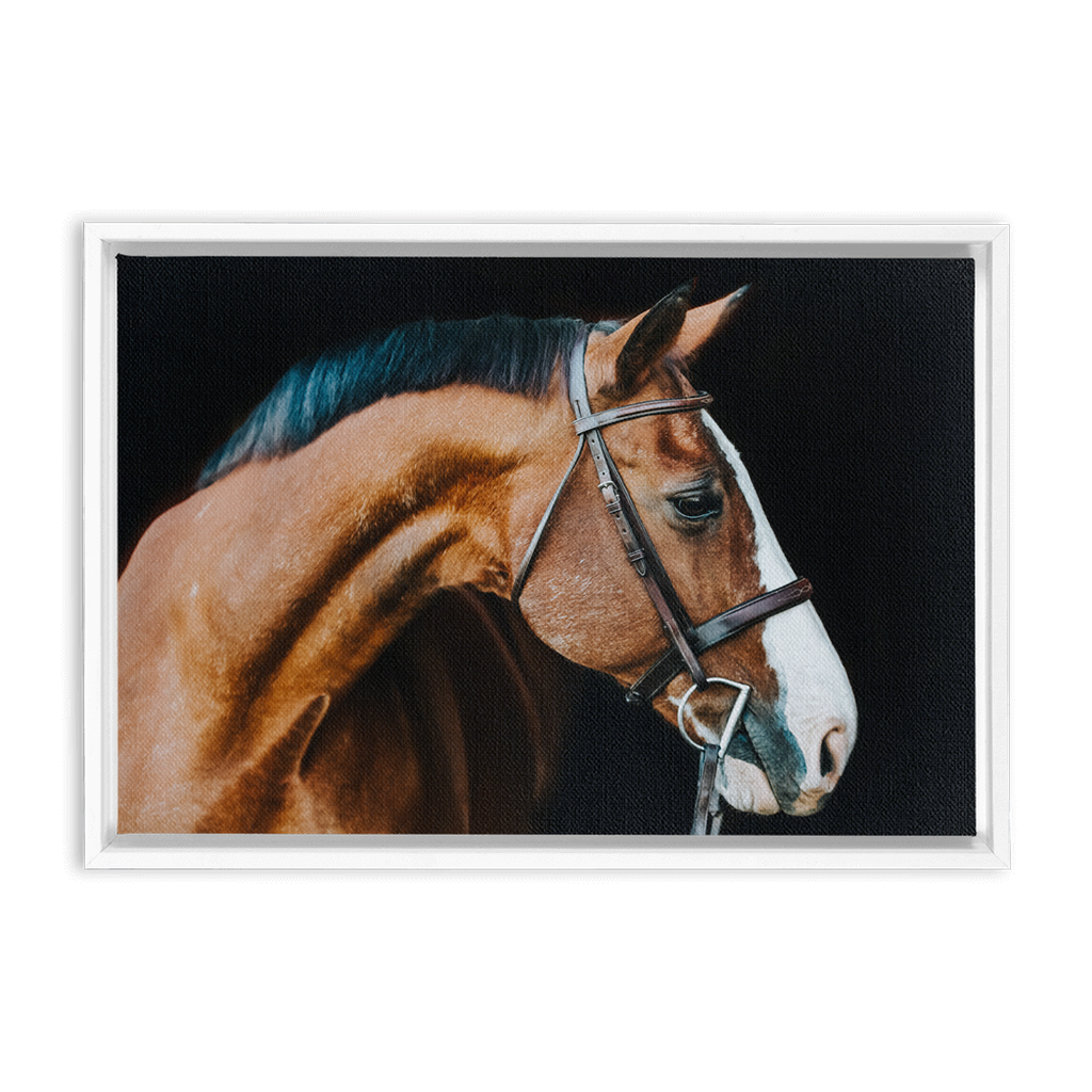 Huntsman Series 3, Framed Canvas