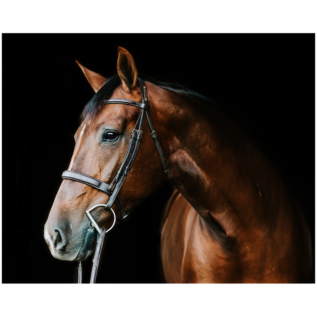 Monterey Series 3, Print