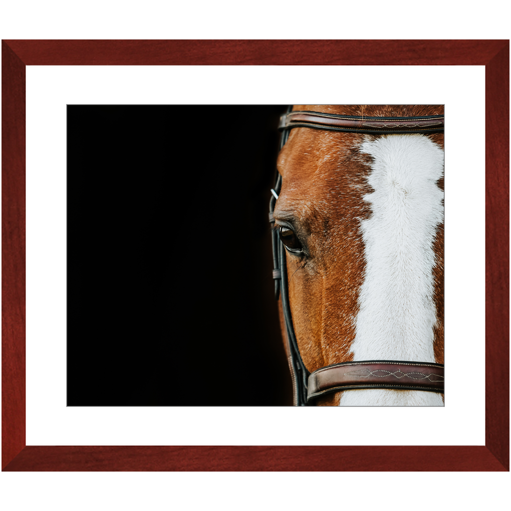 Huntsman Series 5, Framed Print