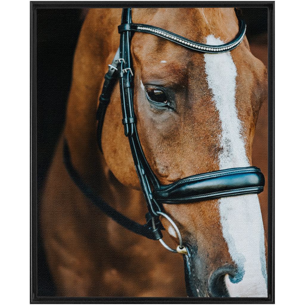Hudson Series 3, Framed Canvas