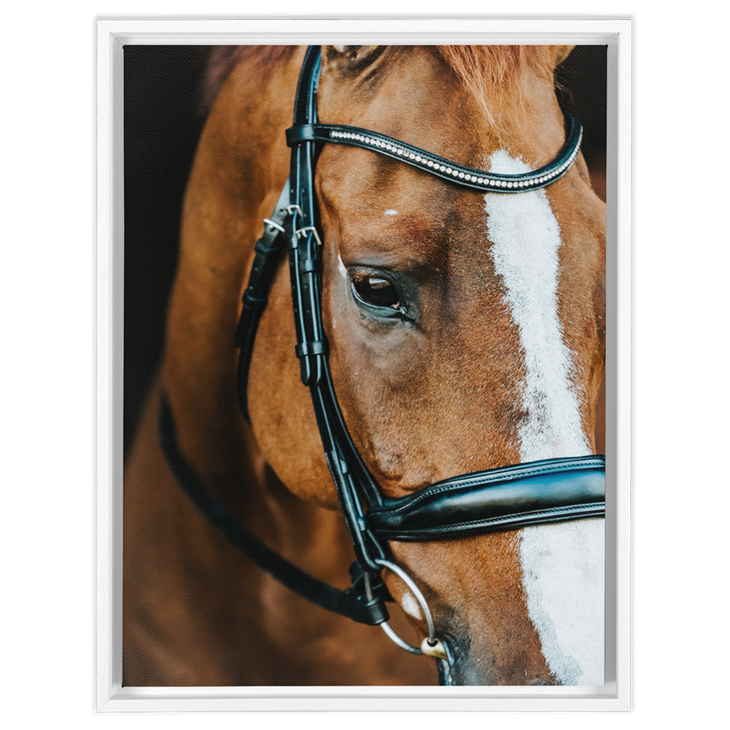 Hudson Series 3, Framed Canvas