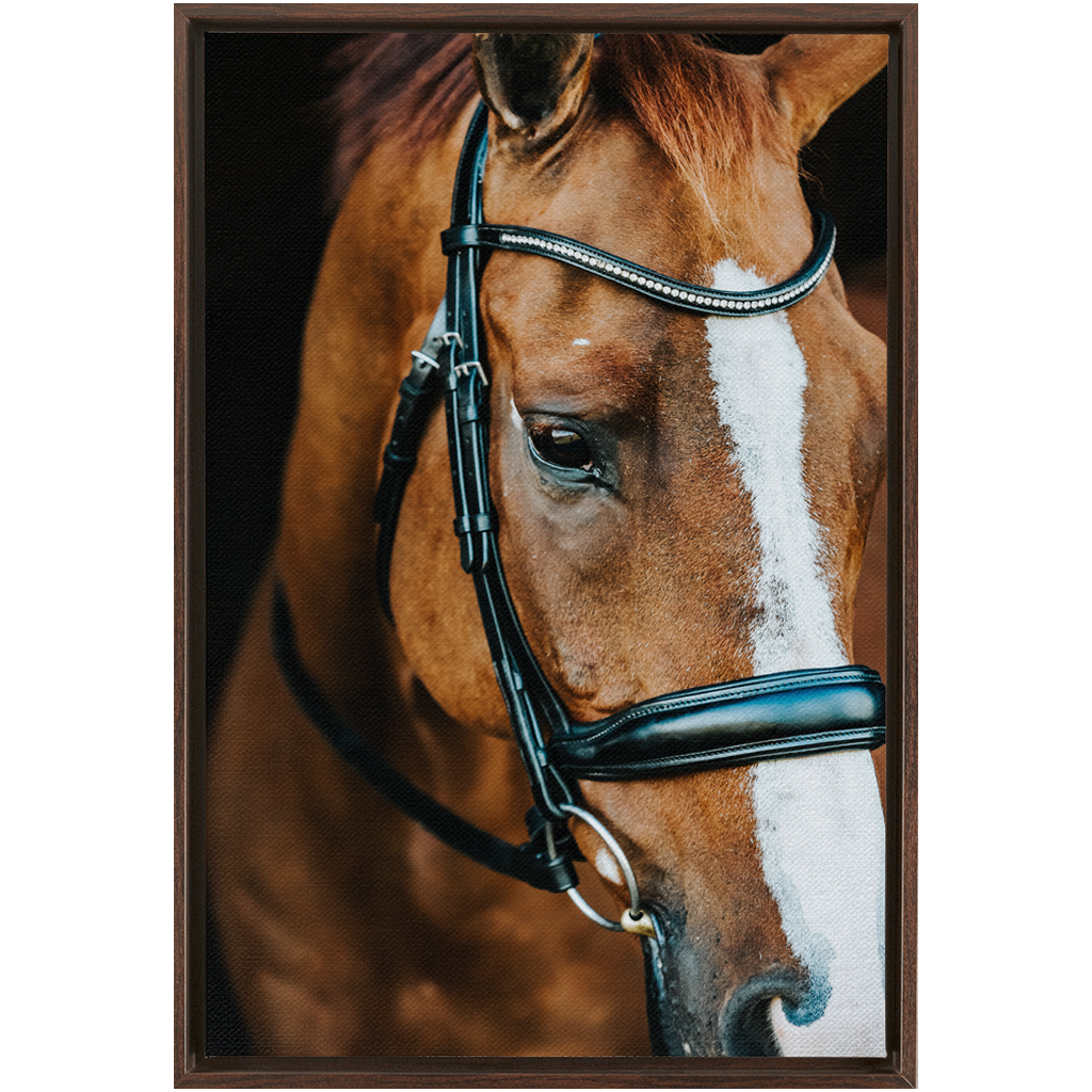 Hudson Series 3, Framed Canvas
