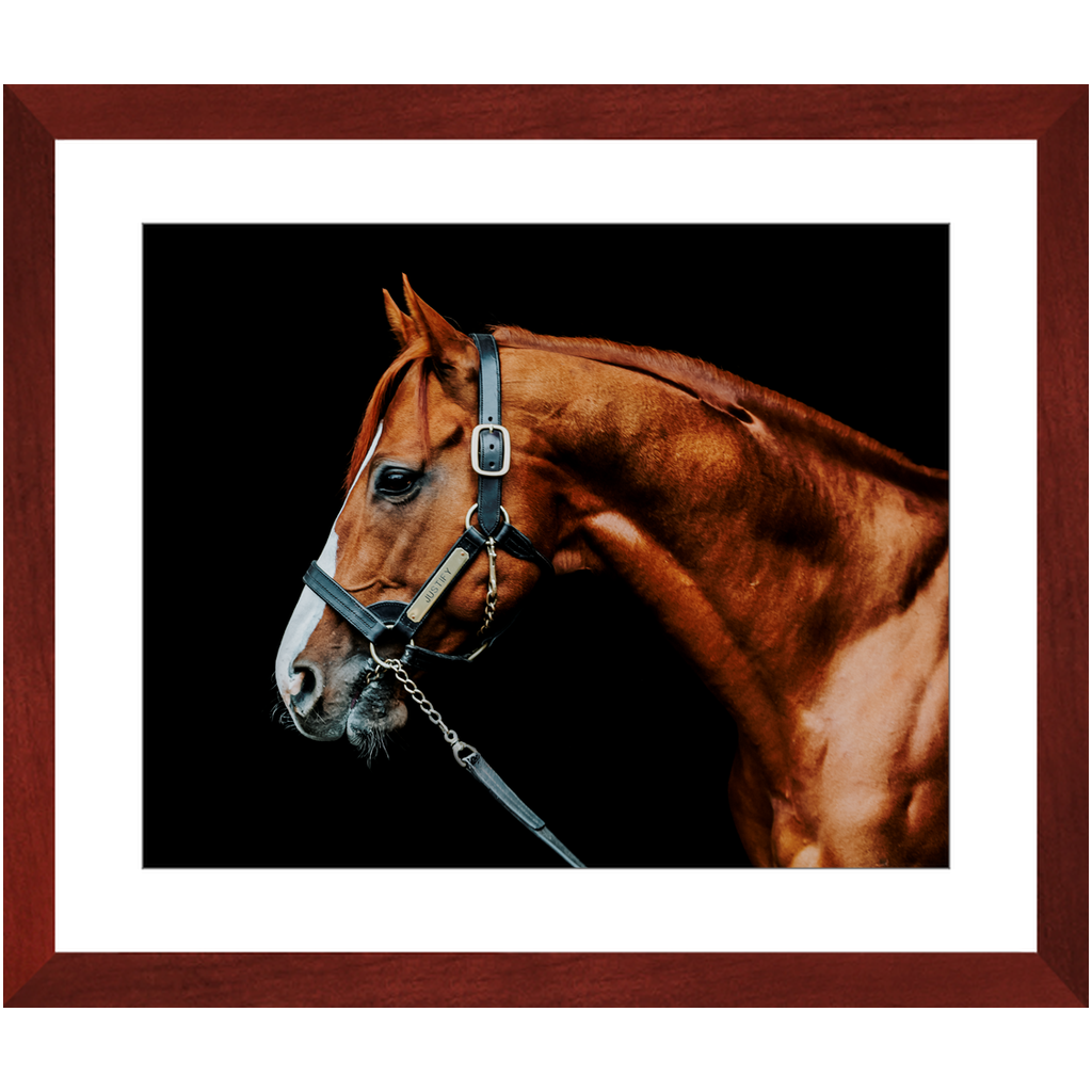 Justify Series 3, Framed Print