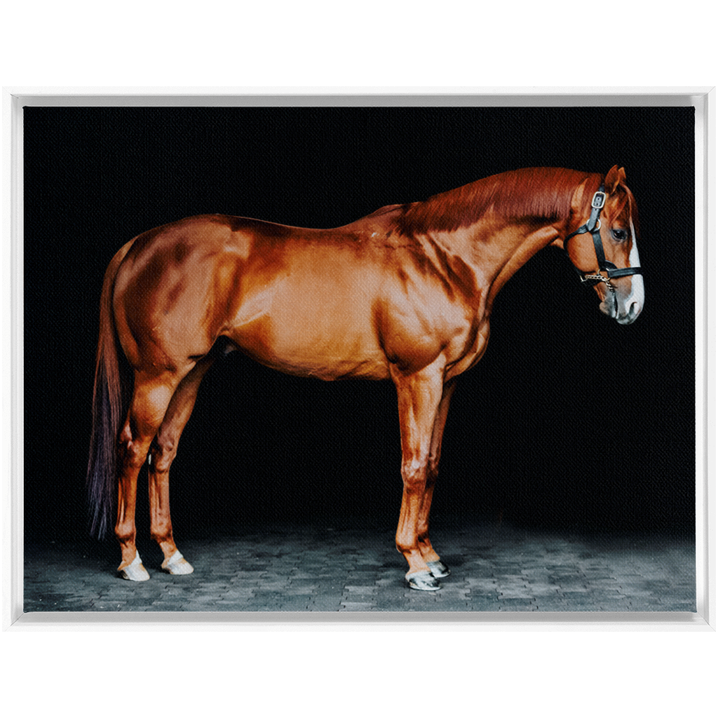 Justify Series 6, Framed Canvas