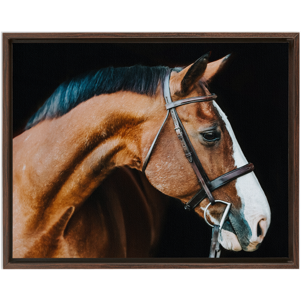 Huntsman Series 3, Framed Canvas