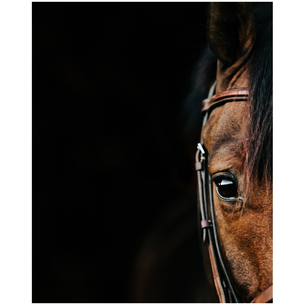 Jovial Series 5, Print