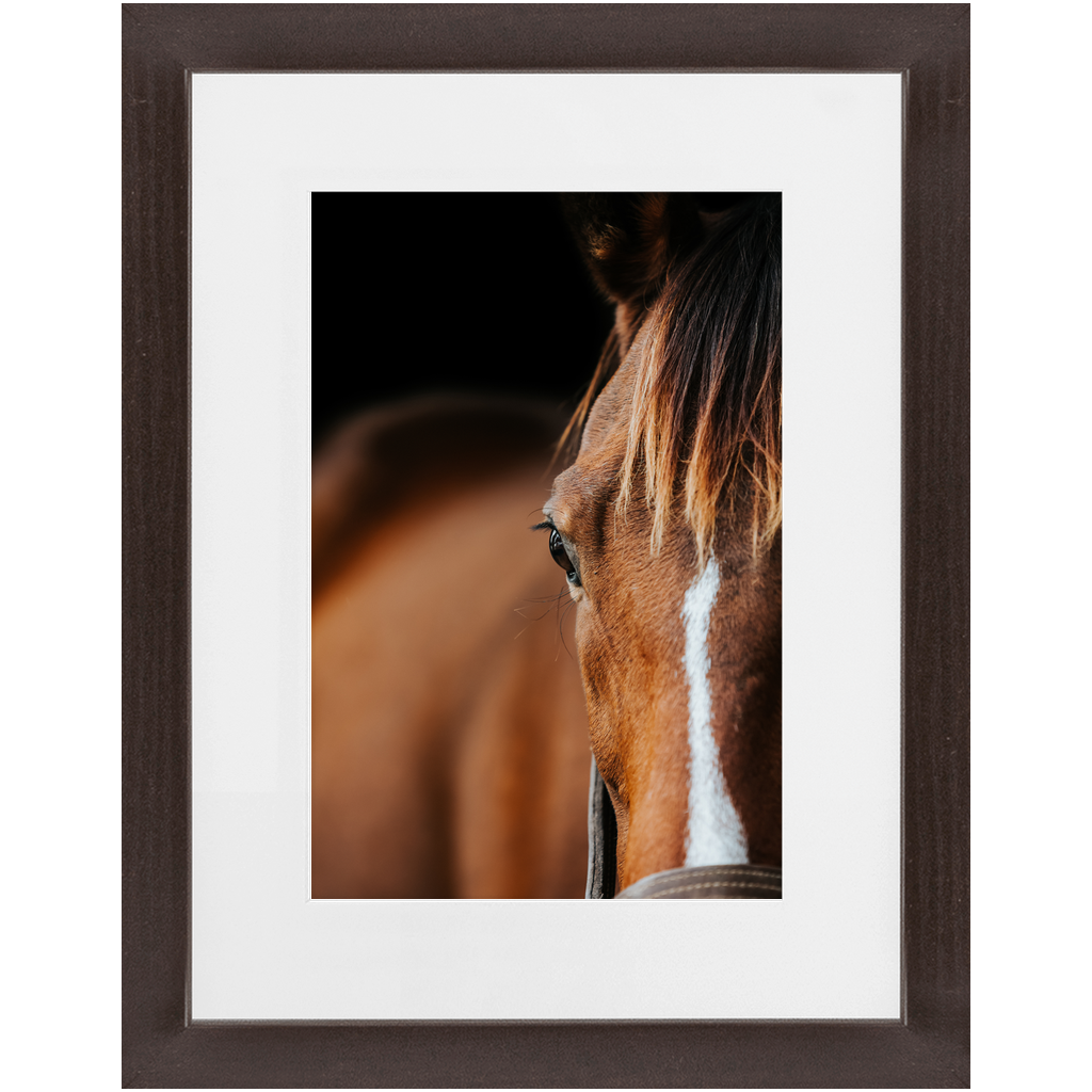 Majestic Series 1, Framed Print