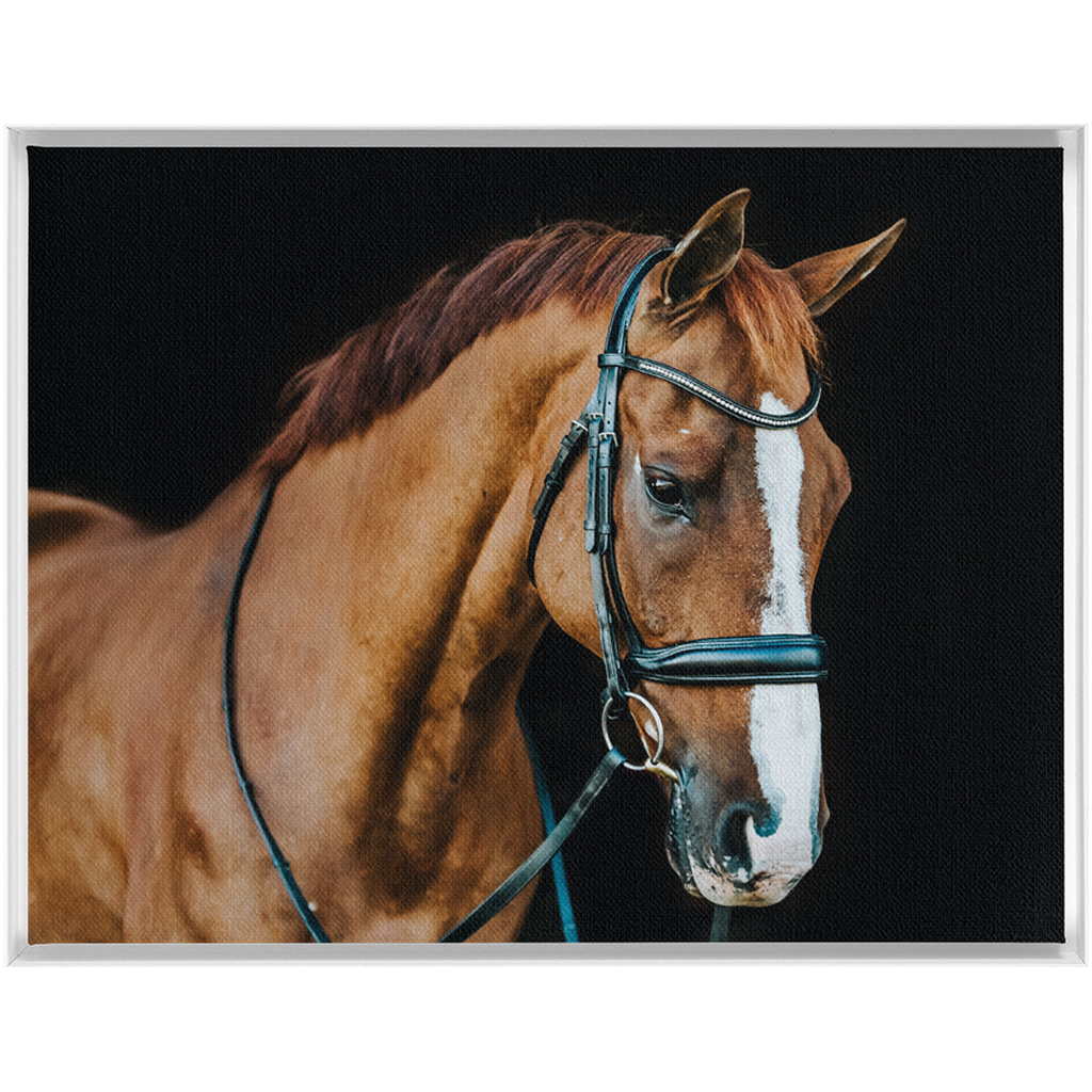 Hudson Series 1, Framed Canvas