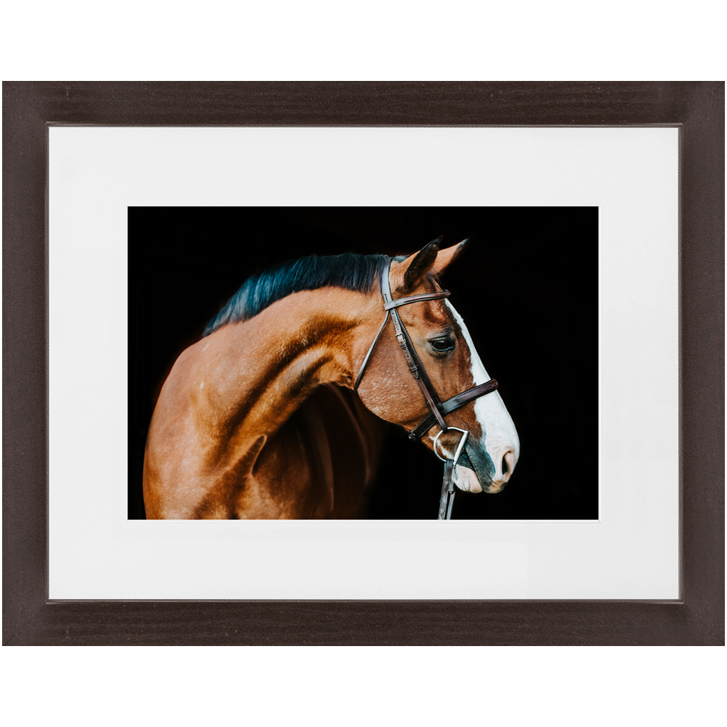 Huntsman Series 3, Framed Print