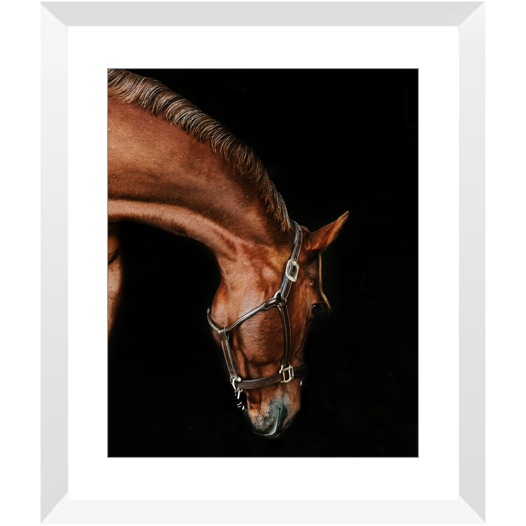 Django Series 6, Framed Print