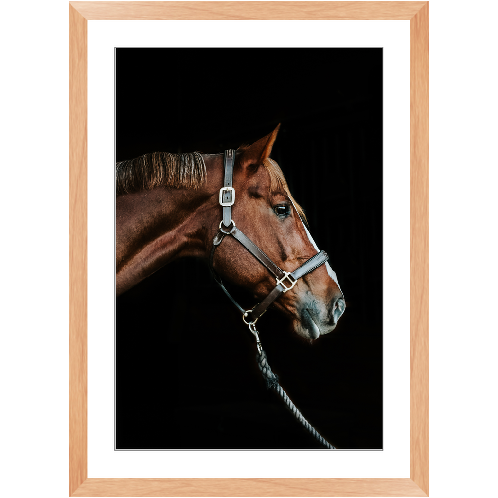 Django Series 3, Framed Print