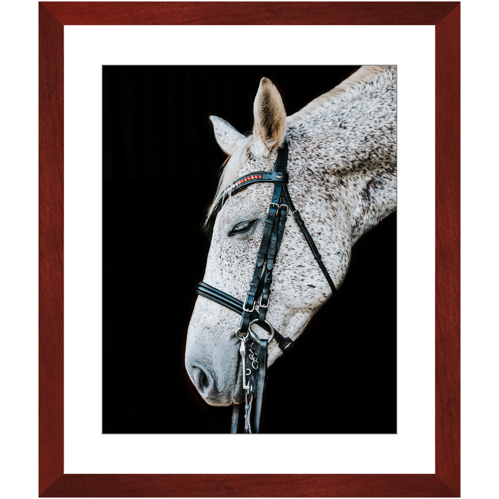 Apollo Series 2, Framed Print