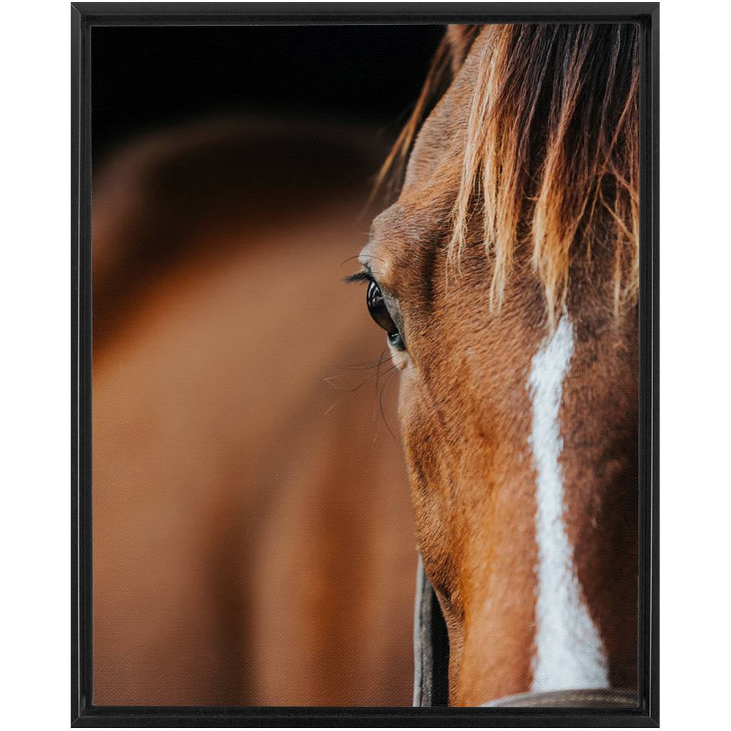 Majestic 1, Framed Canvas