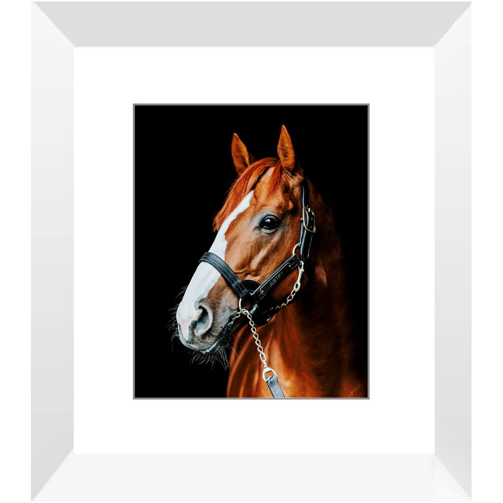 Justify Series 5, Framed Print