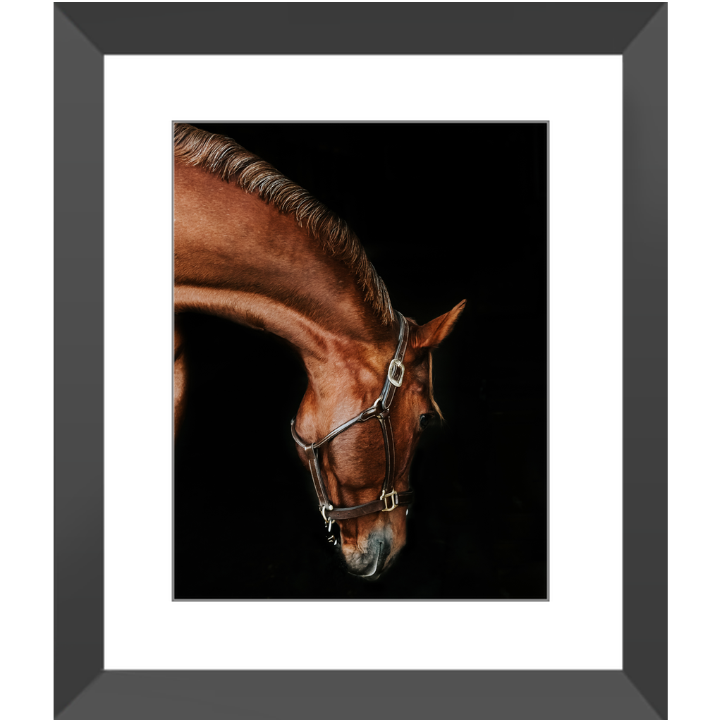 Django Series 6, Framed Print